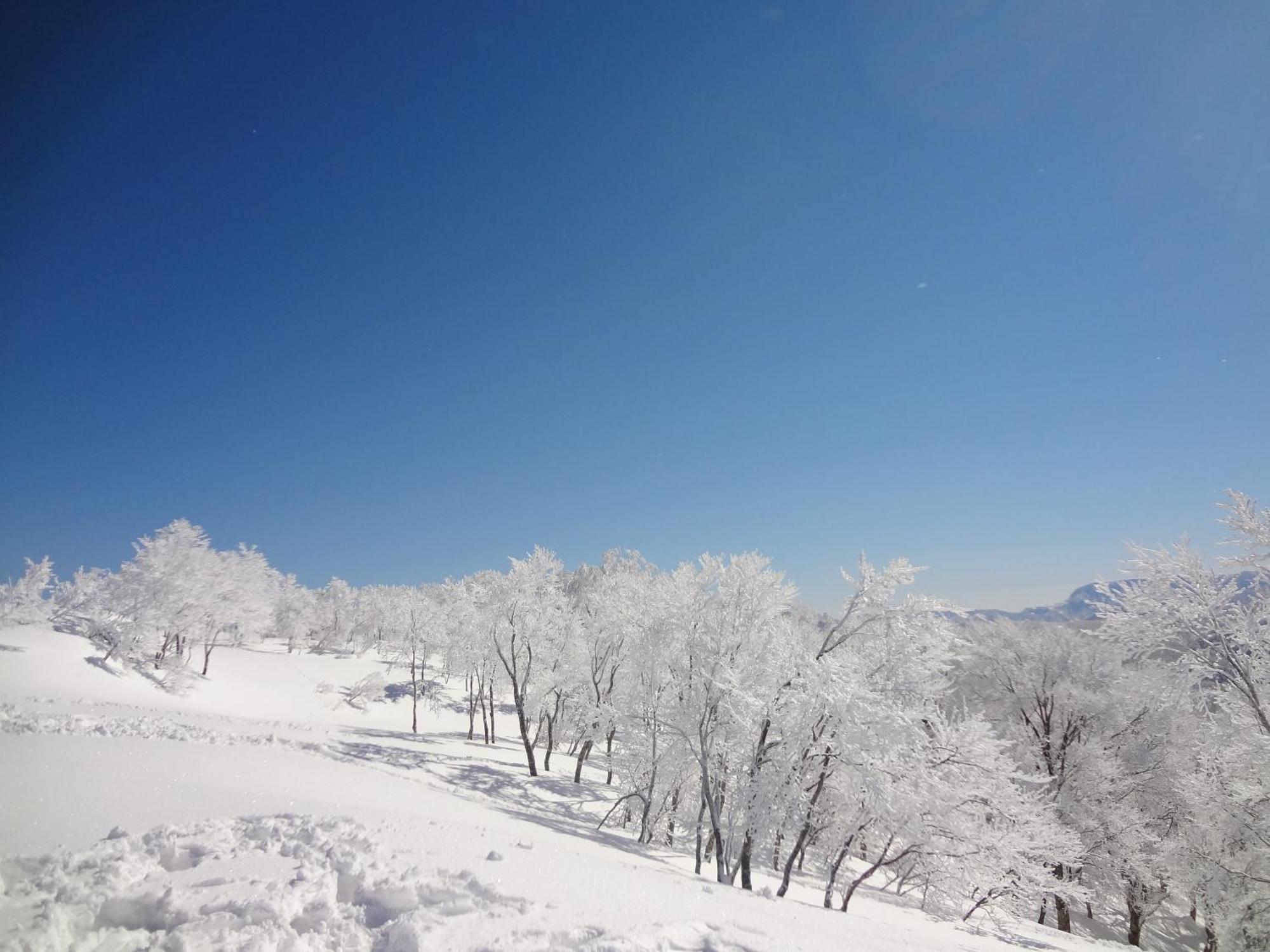 野沢 雪朗峰海尔客栈酒店 外观 照片